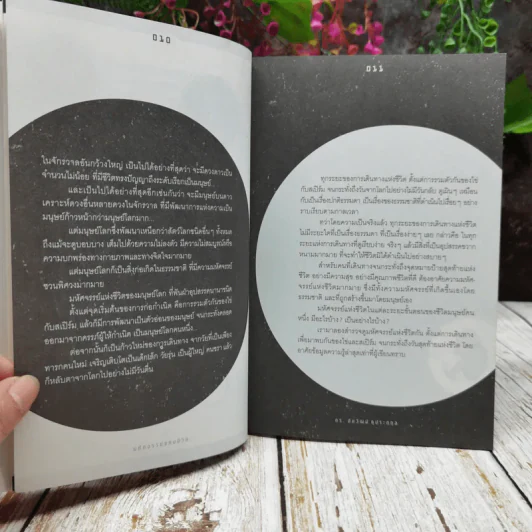 มหัศจรรย์แห่งชีวิต รูปที่ 8
