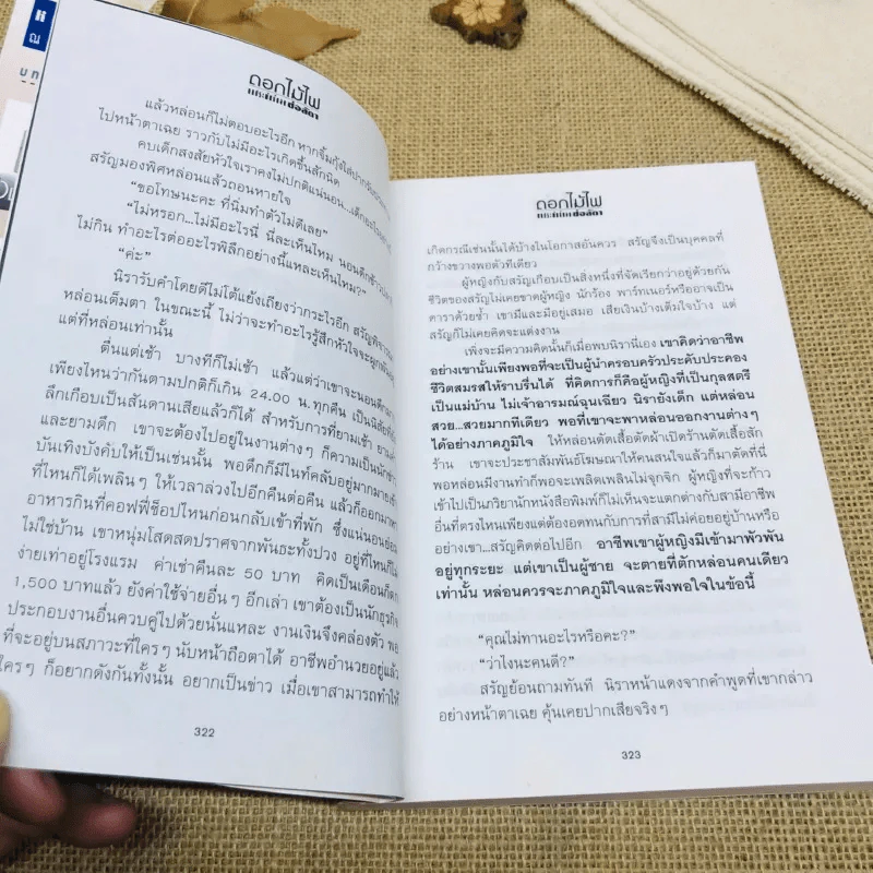 ดอกไม้ไฟ 2 เล่มจบ - ช่อลัดา รูปที่ 11