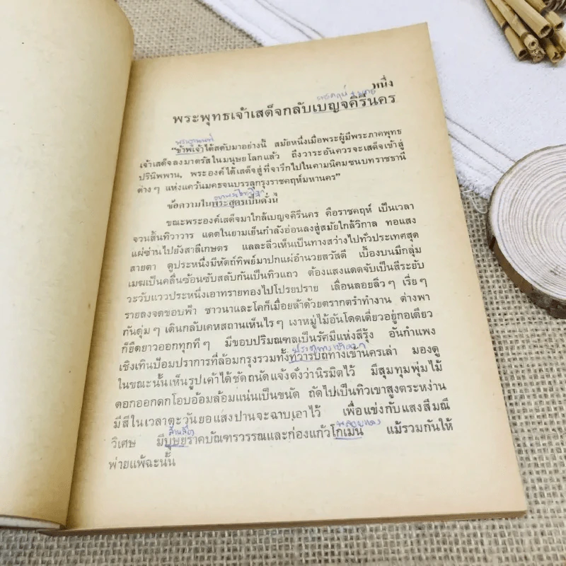 กามนิต (ภาคพื้นดิน) รูปที่ 11