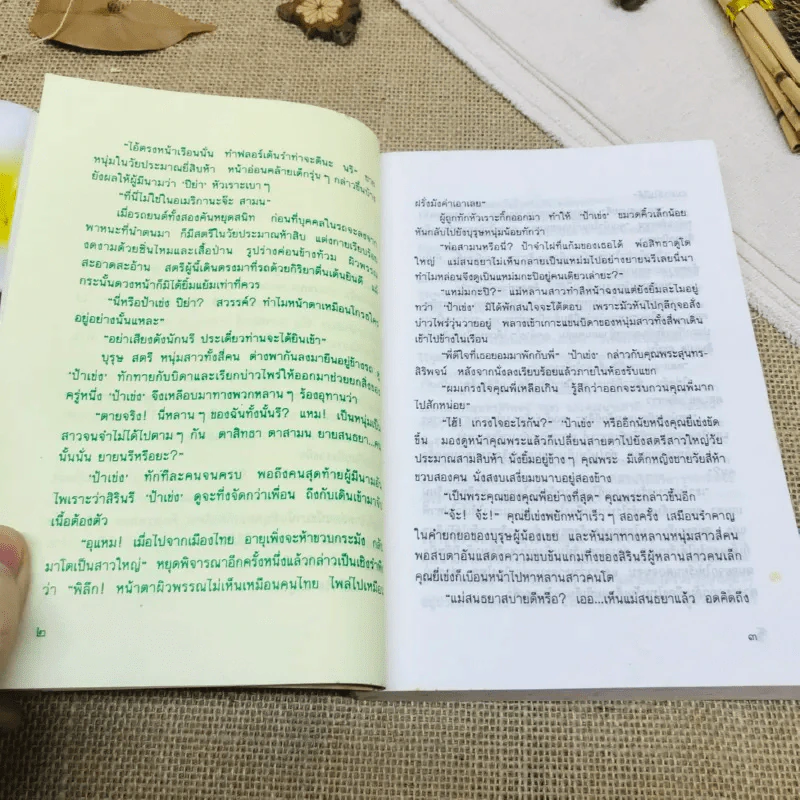 บ้านเกิด รูปที่ 8