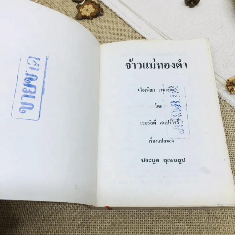 จ้าวแม่ทองคำ รูปที่ 6