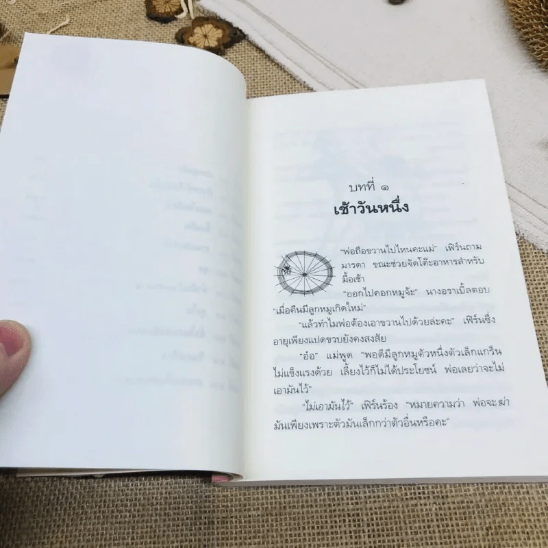 ชาร์ล็อตต์ แมงมุมเพื่อนรัก รูปที่ 7