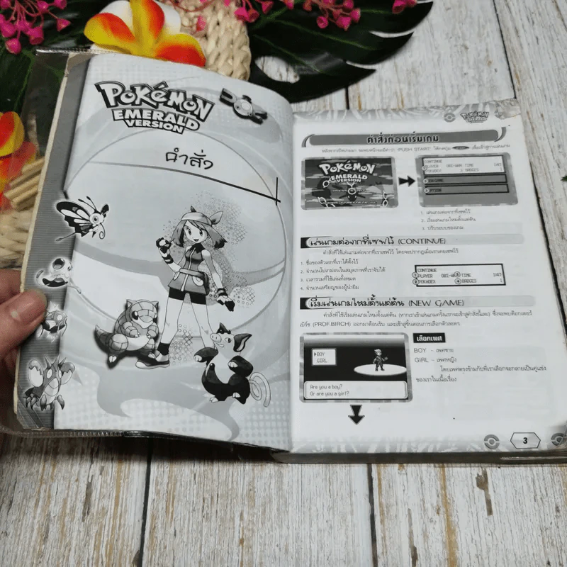 Pokemon Emerald Version รูปที่ 5