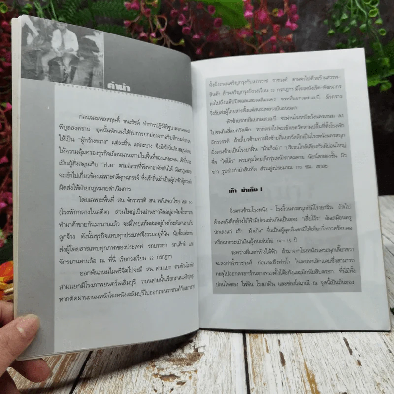 นักฆ่าหน้าหยก - เปี๊ยก จักรวรรดิ์ รูปที่ 5