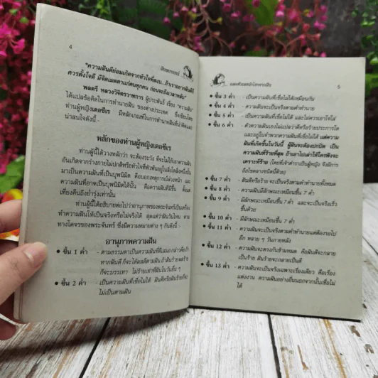 ฝันพยากรณ์ รูปที่ 6