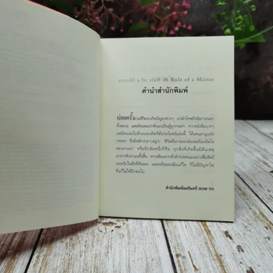 กฎแห่งกระจก รูปที่ 6