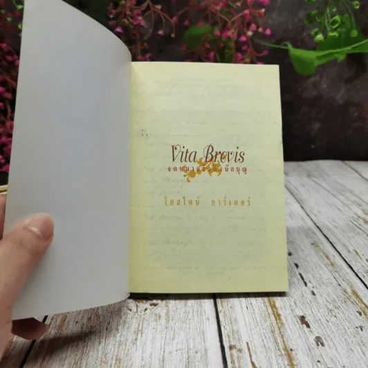 จดหมายรักถึงนักบุญ Vita Brevis - โยสไตน์ การ์เดอร์ (ผู้เขียน โลกของโซฟี) รูปที่ 4
