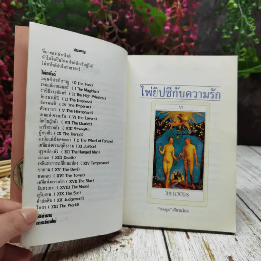 ไพ่ยิปซีกับความรัก รูปที่ 6