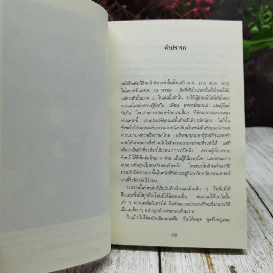 แม่เล่าให้ฟัง รูปที่ 6