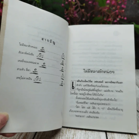 เขตปลอดหมา รูปที่ 7