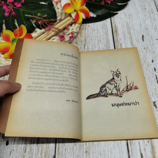 มนุษย์หมาป่า หนังสืออ่านสำหรับเยาวชน ชุด ไพรกว้าง รูปที่ 6