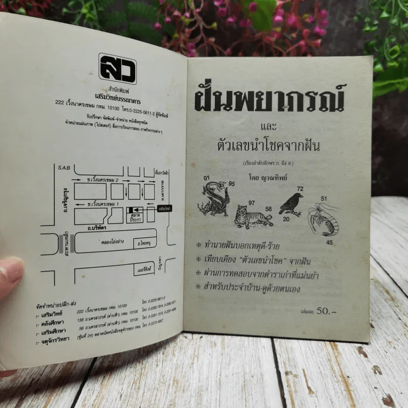 ฝันพยากรณ์ รูปที่ 4