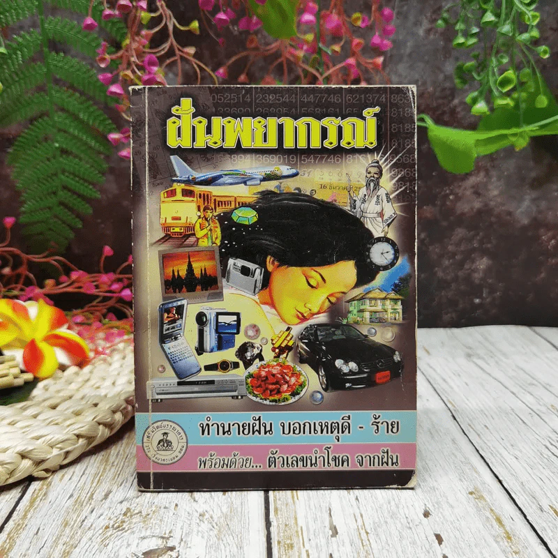 ฝันพยากรณ์ รูปที่ 1