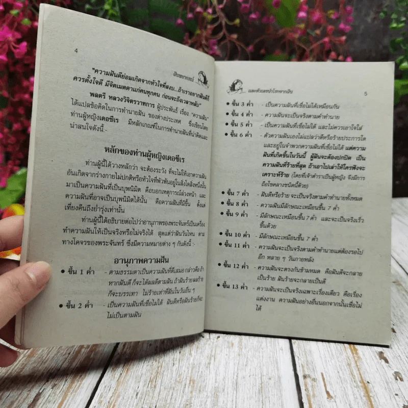 ฝันพยากรณ์ รูปที่ 6