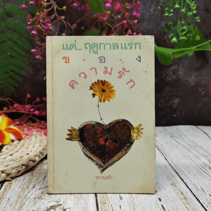 แด่ฤดูกาลแรกของความรัก รูปที่ 1