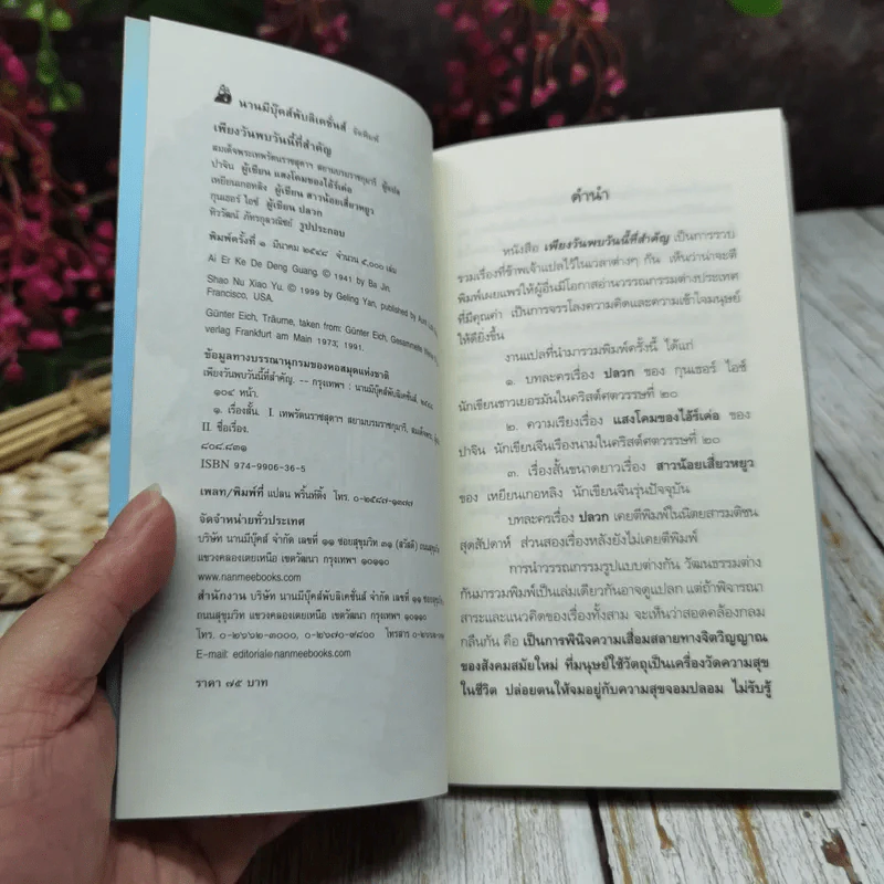 เพียงวันพบวันนี้ที่สำคัญ รูปที่ 4