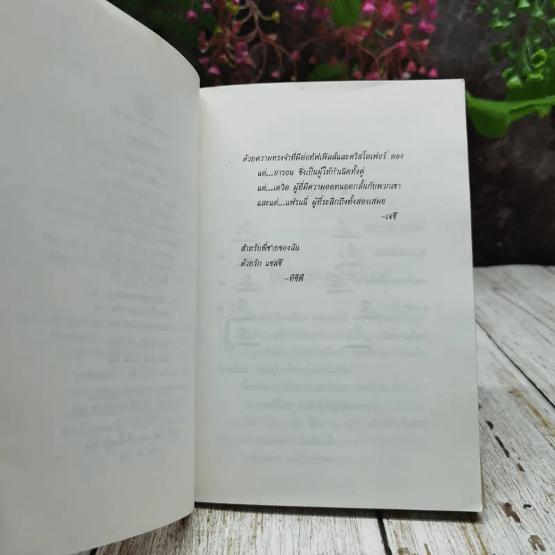 เขตปลอดหมา รูปที่ 6
