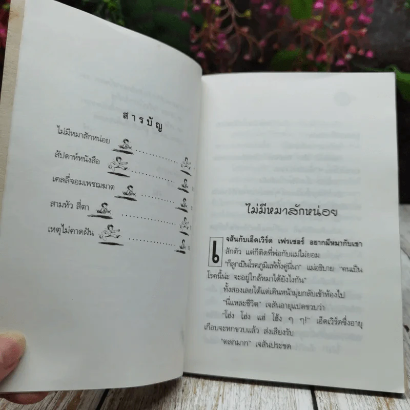 เขตปลอดหมา รูปที่ 7