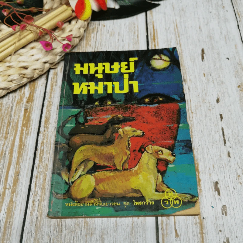 มนุษย์หมาป่า หนังสืออ่านสำหรับเยาวชน ชุด ไพรกว้าง รูปที่ 1