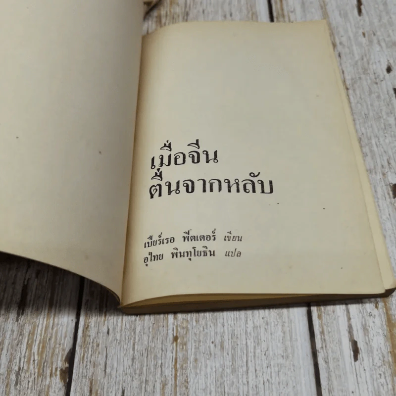 เมื่อจีนตื่นจากหลับ เล่ม 1 รูปที่ 4