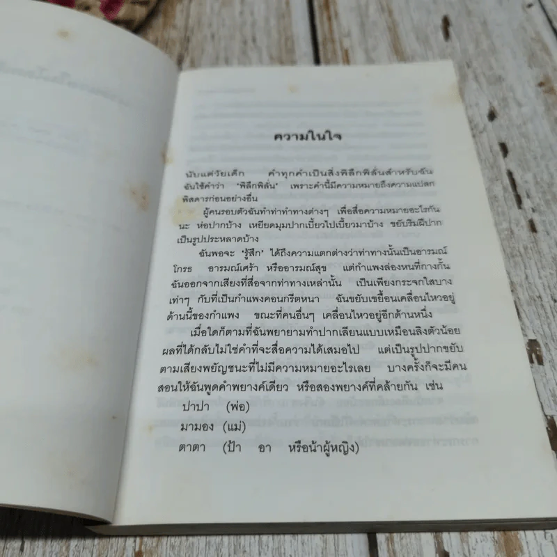 นางนวลในโลกเงียบ รูปที่ 6