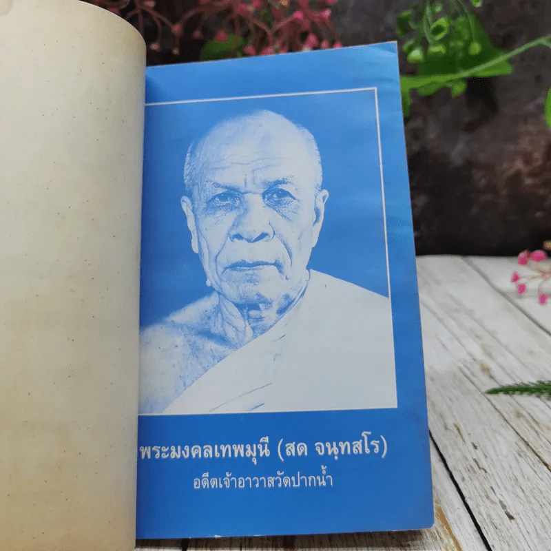 คำถาม-คำตอบ การเรียนสมถะและวิปัสสนากรรมฐาน รูปที่ 5