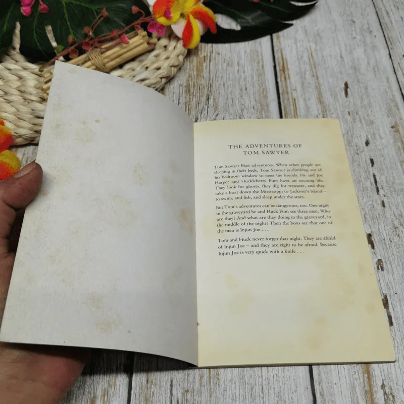 The Adventures of Tom Sawyer รูปที่ 4