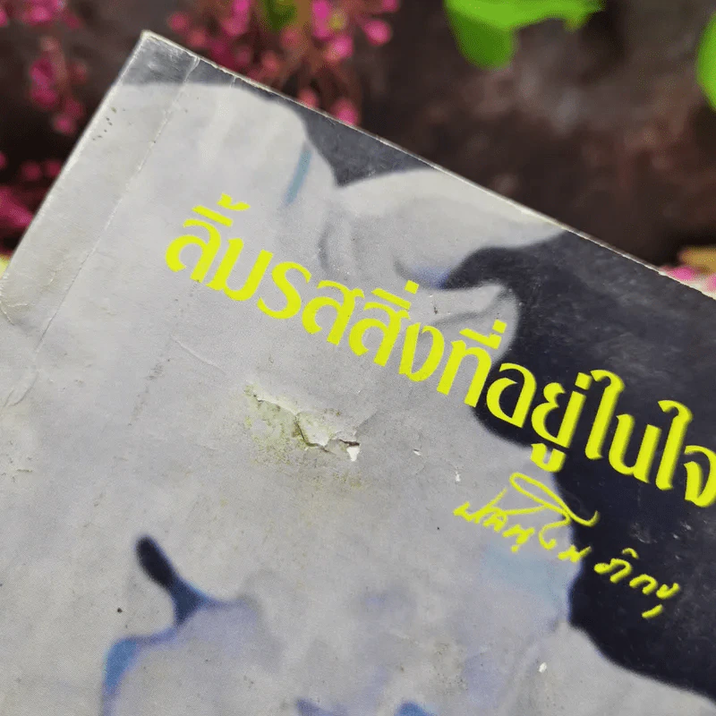 ลิ้มรสสิ่งที่อยู่ในใจ รูปที่ 7