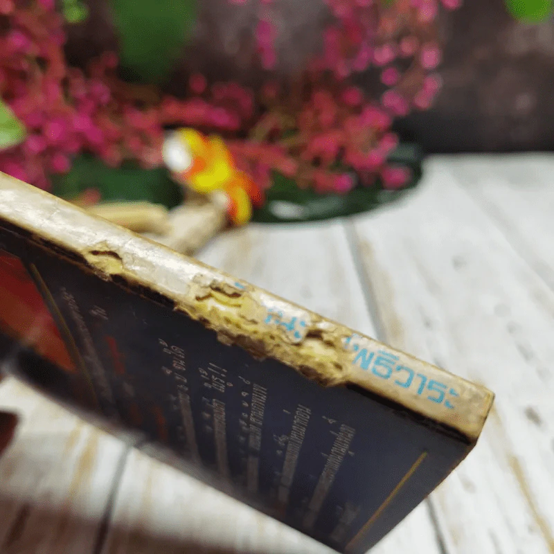 ถลกส่าหรี รูปที่ 4