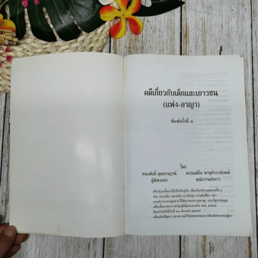 คดีเกี่ยวกับเด็กและเยาวชน (แพ่งและอาญา) รูปที่ 4