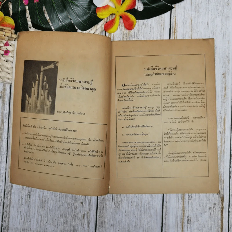 ชีวิตมหาเศรษฐี รูปที่ 6