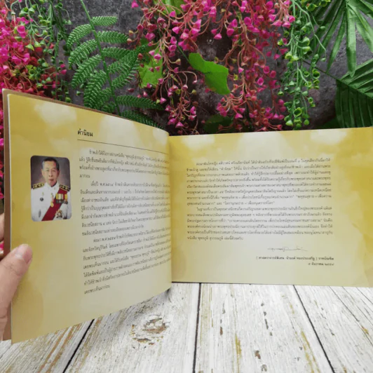 พุทธภูมิ สุวรรณภูมิ รูปที่ 6