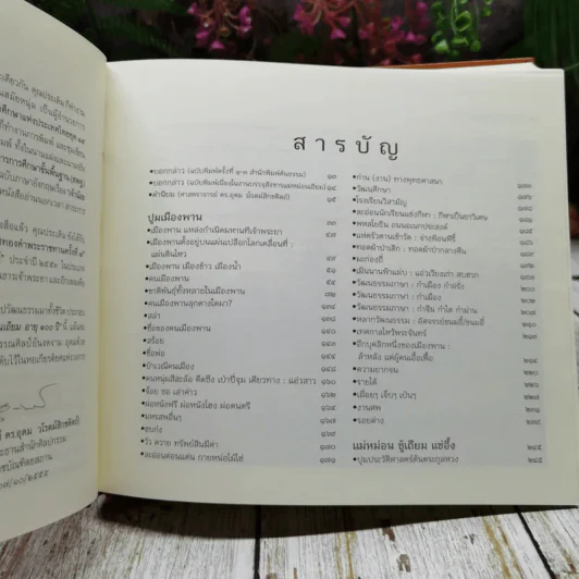 แม่หม่อนเถียม อายุ 100 ปี ตระกูล ดำรงเจริญ รูปที่ 14