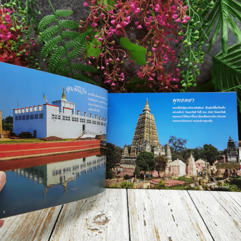 พุทธภูมิ สุวรรณภูมิ รูปที่ 9