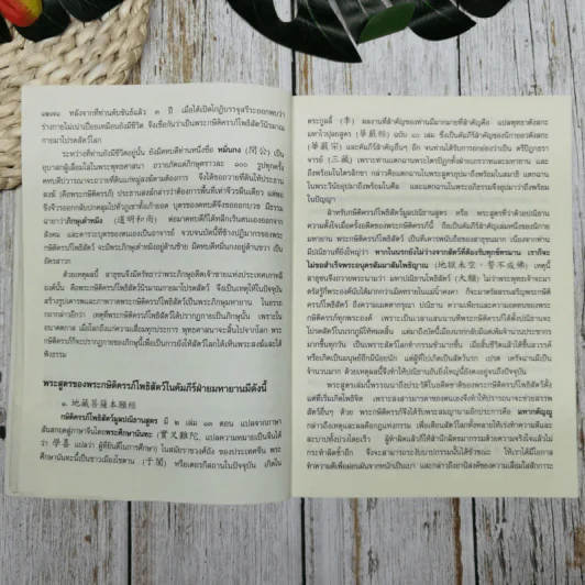 กษิติครรภ์โพธิสัตว์มูลปณิธานสูตร รูปที่ 8