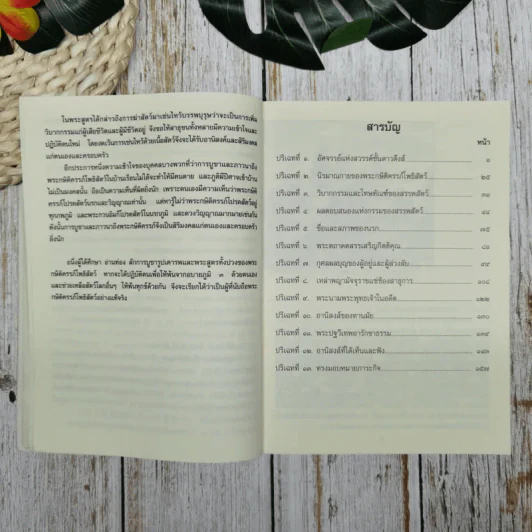 กษิติครรภ์โพธิสัตว์มูลปณิธานสูตร รูปที่ 9