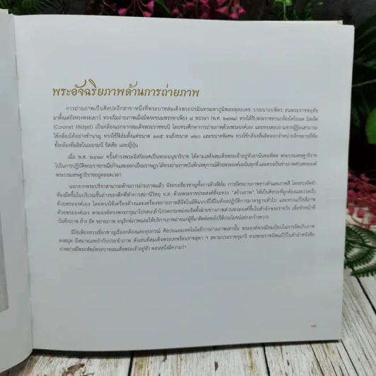 ศาสตร์พระราชา ภาพถ่ายแสงและเงาใต้ร่มพระบารมี รูปที่ 8