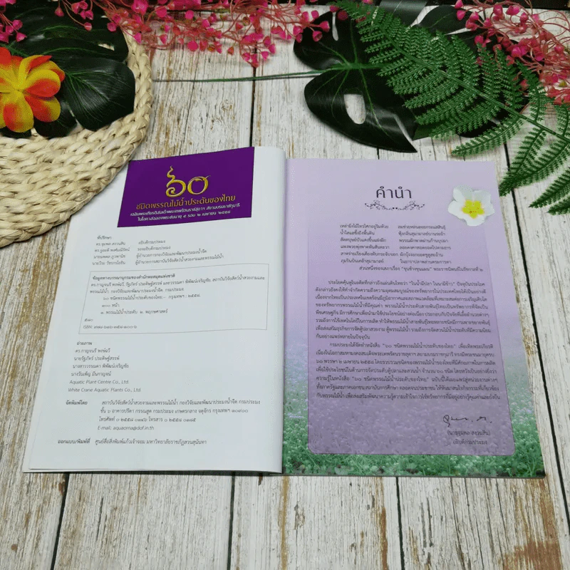 60 ชนิดพรรณไม้น้ำประดับของไทย รูปที่ 6