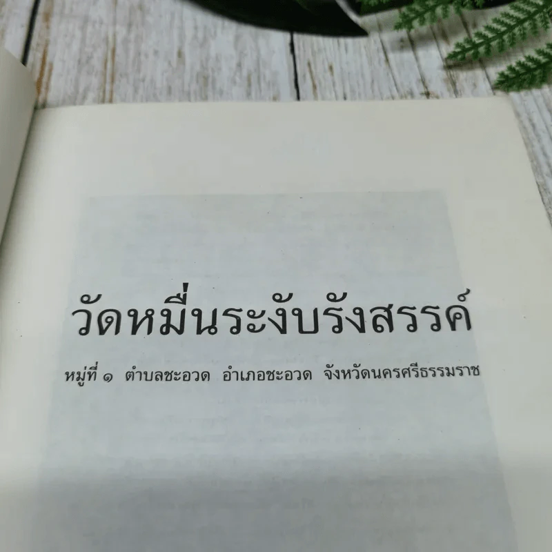 วัดหมื่นระงับรังสรรค์ รูปที่ 5