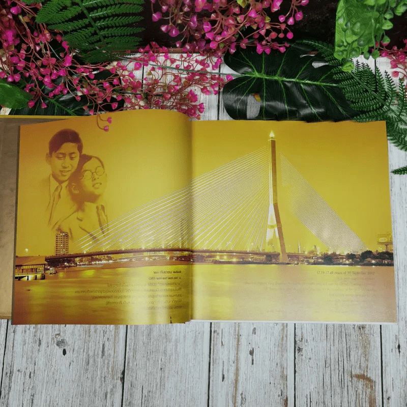 สะพานพระราม 8 อันเนื่องมาจากพระราชดำริ รูปที่ 8
