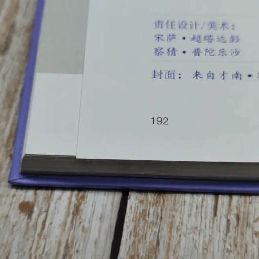 หนังสือสมเด็จพระเทพรัตนราชสุดาฯ ภาษาจีนทั้งเล่ม รูปที่ 12