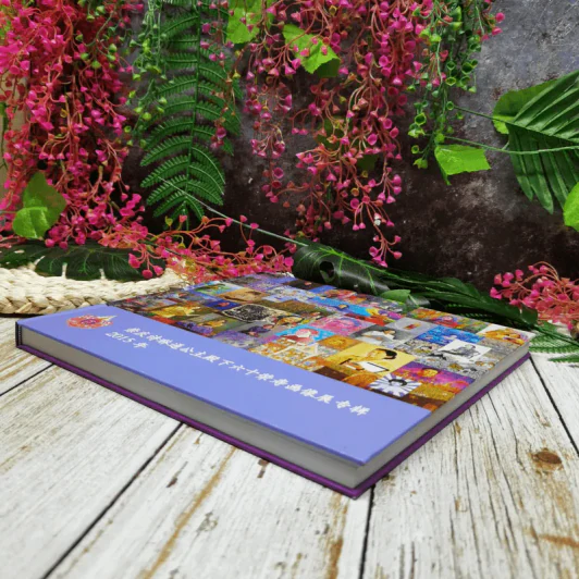 หนังสือสมเด็จพระเทพรัตนราชสุดาฯ ภาษาจีนทั้งเล่ม รูปที่ 3