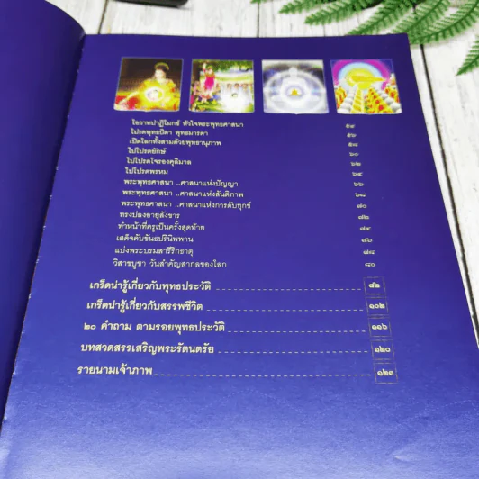 พุทธประวัติ ประสูติ ตรัสรู้ ปรินิพพาน พระบรมศาสดาสัมมาสัมพุทธเจ้า รูปที่ 9