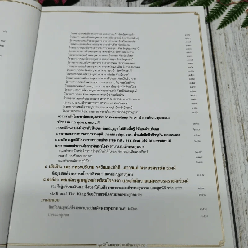 โรงพยาบาลสมเด็จพระยุพราช 4 ทศวรรษ 2 แผ่นดิน รูปที่ 10