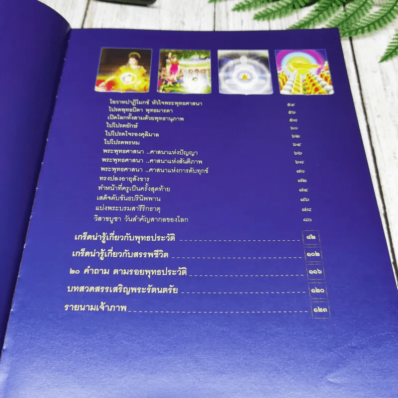 พุทธประวัติ ประสูติ ตรัสรู้ ปรินิพพาน พระบรมศาสดาสัมมาสัมพุทธเจ้า รูปที่ 9