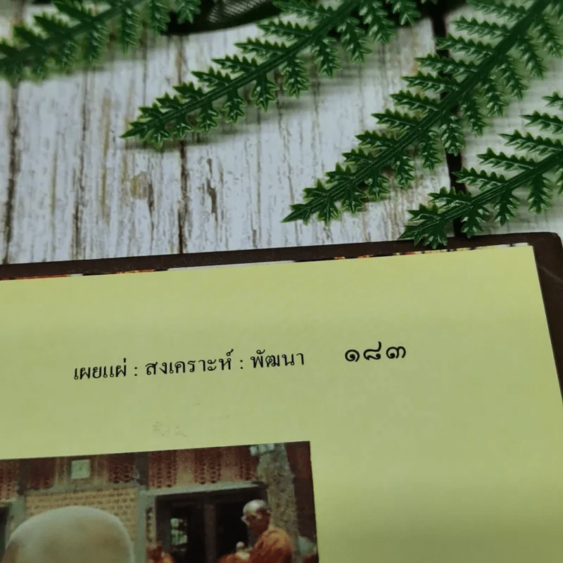 เผยแผ่: สงเคราะห์: พัฒนา พระพิศาล ธรรมพาที รูปที่ 12