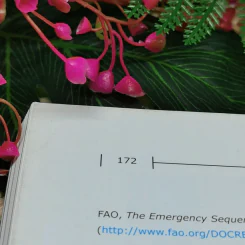 Post-Nargis Periodic Review II รูปที่ 13