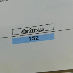 เรื่องน่ารู้เกี่ยวกับสัตว์ทะเล รูปที่ 14