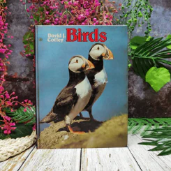 Birds - David J. Coffey