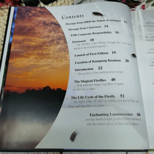 The Mysterious & Magical World of Firefiles รูปที่ 11
